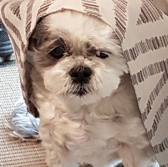 ❤ - Picture 4 of 4